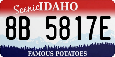 ID license plate 8B5817E