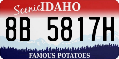 ID license plate 8B5817H