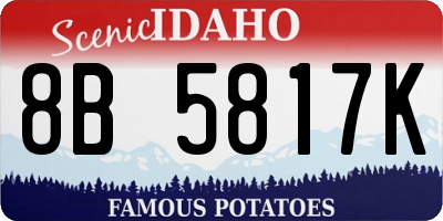 ID license plate 8B5817K