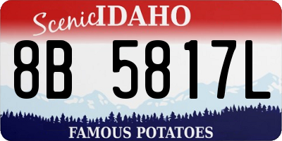 ID license plate 8B5817L