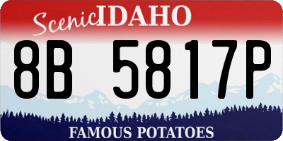 ID license plate 8B5817P
