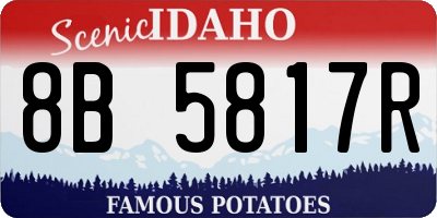 ID license plate 8B5817R