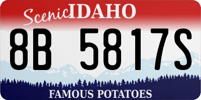 ID license plate 8B5817S