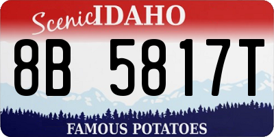 ID license plate 8B5817T
