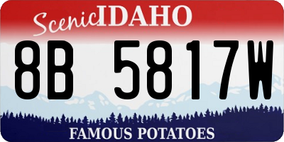 ID license plate 8B5817W