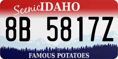 ID license plate 8B5817Z
