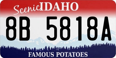 ID license plate 8B5818A