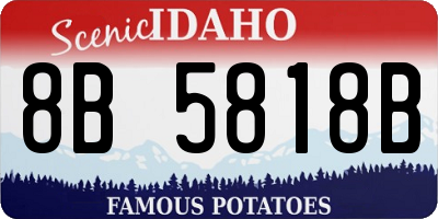 ID license plate 8B5818B