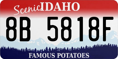 ID license plate 8B5818F
