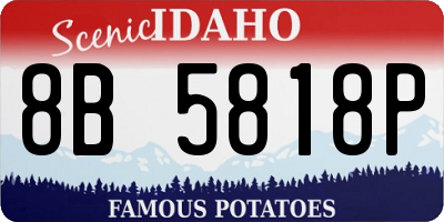 ID license plate 8B5818P