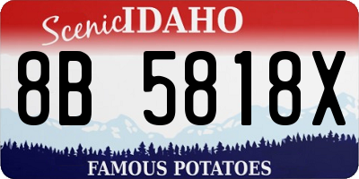 ID license plate 8B5818X
