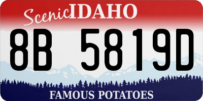 ID license plate 8B5819D