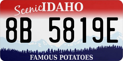 ID license plate 8B5819E