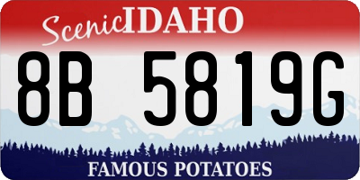 ID license plate 8B5819G