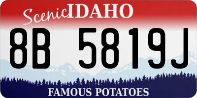 ID license plate 8B5819J