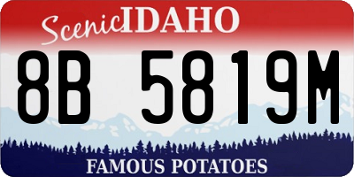 ID license plate 8B5819M