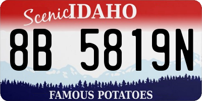 ID license plate 8B5819N