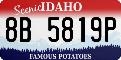 ID license plate 8B5819P