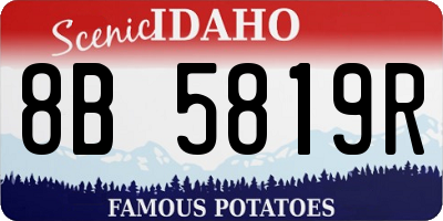 ID license plate 8B5819R