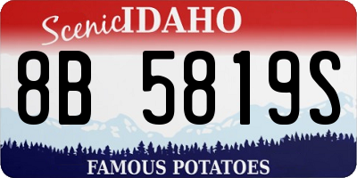 ID license plate 8B5819S