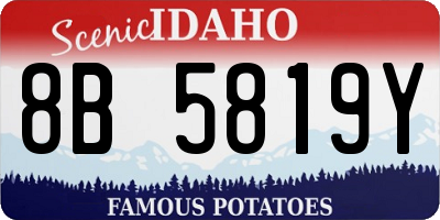 ID license plate 8B5819Y
