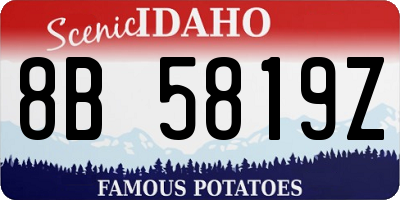ID license plate 8B5819Z