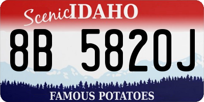 ID license plate 8B5820J