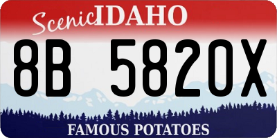 ID license plate 8B5820X