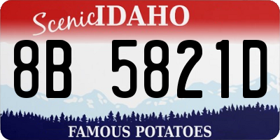 ID license plate 8B5821D