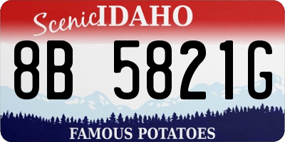 ID license plate 8B5821G
