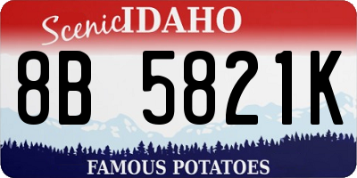 ID license plate 8B5821K