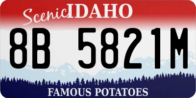 ID license plate 8B5821M