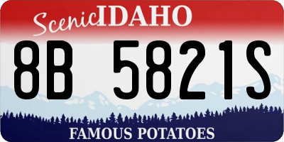 ID license plate 8B5821S