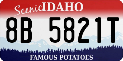 ID license plate 8B5821T