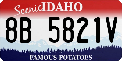 ID license plate 8B5821V