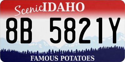 ID license plate 8B5821Y