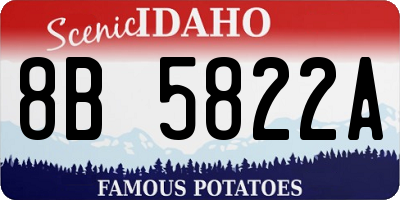 ID license plate 8B5822A