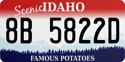 ID license plate 8B5822D