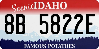 ID license plate 8B5822E