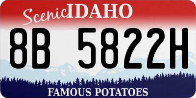 ID license plate 8B5822H