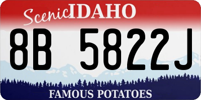 ID license plate 8B5822J