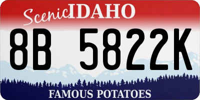 ID license plate 8B5822K