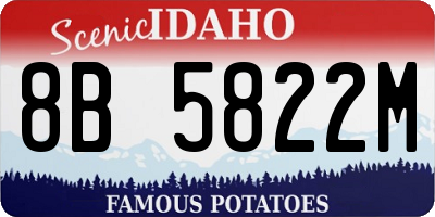 ID license plate 8B5822M