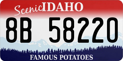 ID license plate 8B5822O