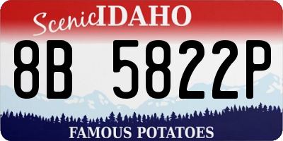 ID license plate 8B5822P