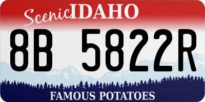 ID license plate 8B5822R