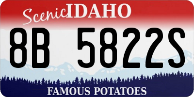 ID license plate 8B5822S