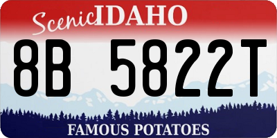 ID license plate 8B5822T
