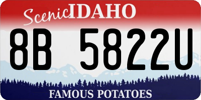 ID license plate 8B5822U