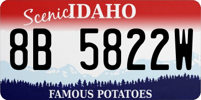 ID license plate 8B5822W